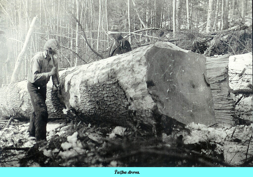 2 - 021b - Ťažba dreva.