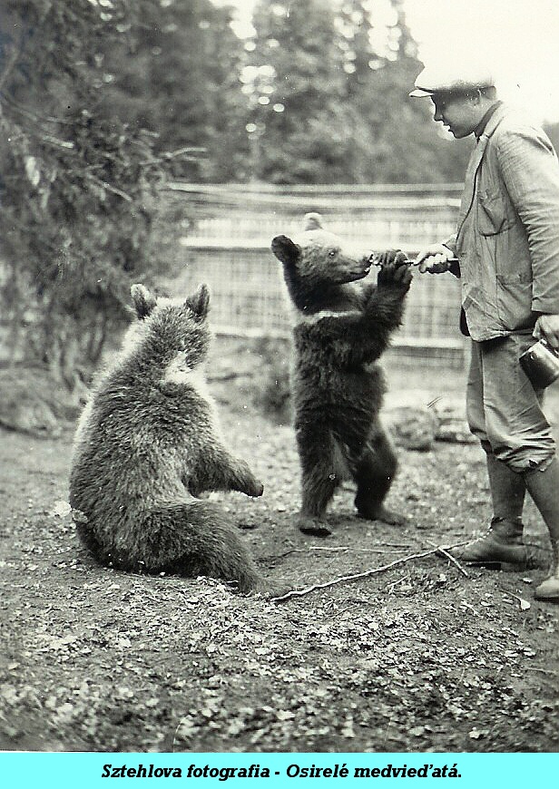 2 - 032b - Sztehlova fotografia - Osirelé medvieďatá.