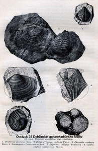 skameneliny-spodneho-karbonu-v-dobsinej-papp-1915-s_109.jpg