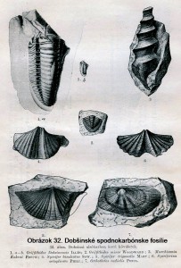 skameneliny-spodneho-karbonu-v-dobsinej-papp-1915-s_108.jpg