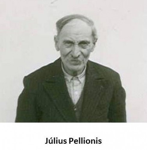 obr.5-julius-pellionis.jpg